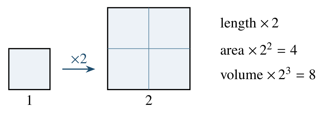Move 3 drawing: Doubling every length multiplies areas by 4 and volumes by 8